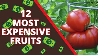 12 Most Expensive Fruits In The World [upl. by Arek]