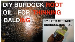 DIY  EXTRA STRENGHT BURDOCK ROOT OIL FOR THINNING HAIR [upl. by Eigriv873]