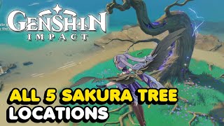 All 5 Sakura Tree Locations In Genshin Impact Sakura Arborism World Quest Guide [upl. by Jezreel777]