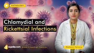 Chlamydial and Rickettsial Infections  Medical School  Pathology Lectures  VLearning [upl. by Ylaek447]