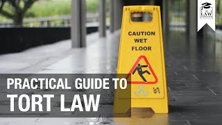 Tort Law  A Practical Guide [upl. by Rivkah298]