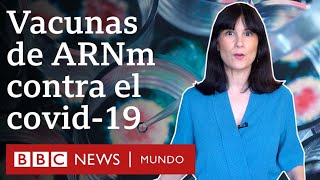 4 verdades sobre las vacunas de ARNm contra la covid19  BBC Mundo [upl. by Mani62]