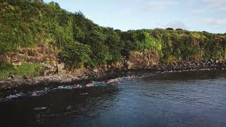 Bassin Vert Coast Mauritius [upl. by Eneri]