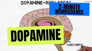 2Minute Neuroscience Dopamine [upl. by Spooner931]