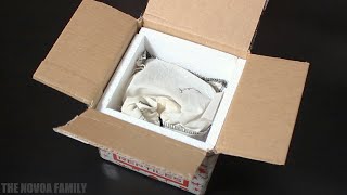 Underground Reptiles unboxing Dwarf Caiman [upl. by Adyl]