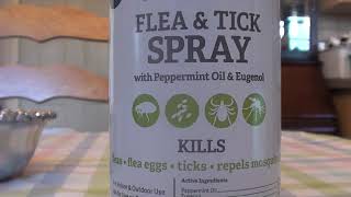 Natural Care Dog amp Cat Flea amp Tick Spray REVIEW NON TOXIC [upl. by Legnaleugim]