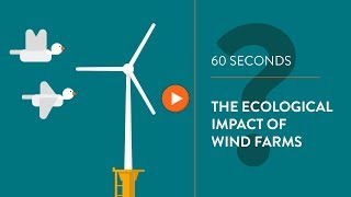 Ecological impact of wind turbines  IN 60 SECONDS [upl. by Noslien741]