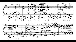 Liszt Reminiscences de Norma Tozer [upl. by Eldorado]