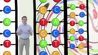 Las enzimas que intervienen en la replicación del ADN [upl. by Fowle723]