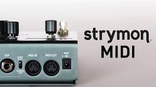 MIDI Control for Strymon Pedals [upl. by Hagep]