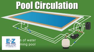 How Does a Swimming Pool Circulate Water [upl. by Martyn371]