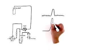 An Introduction to Ion Chromatography [upl. by Aitret]