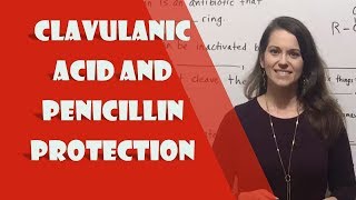 Clavulanic Acid Clavulanate and Penicillin Protection [upl. by Florinda]