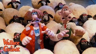 A Close Shave 🧶  Truck Chase Scene Clip  Wallace amp Gromit [upl. by Eduam809]