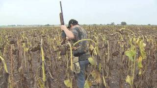 Nooner Ranch Dove hunting [upl. by Joses607]