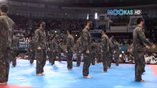 Taekwondo display by the Korean army at the 2013 Hammadang [upl. by Dar]