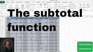 How to use the subtotal function in Excel [upl. by Tiertza]