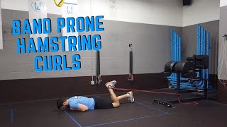 Prone Hamstring Curls with Resistance Band [upl. by Bowler]