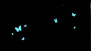 Butterfly overlay 2d animation FREE [upl. by Evan766]