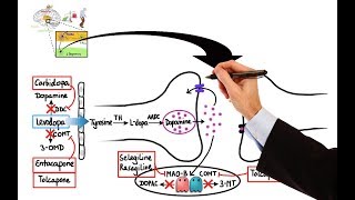 Pharmacology  DRUGS FOR PARKINSONS DISEASE MADE EASY [upl. by Namyaw]