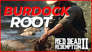 RED DEAD REDEMPTION 2  BURDOCK ROOT LOCATION  SELLCRAFT OR FOR CHALLENGES [upl. by Dias]