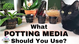 How To Choose The Right Potting Medium for Your Orchid [upl. by Animsay]