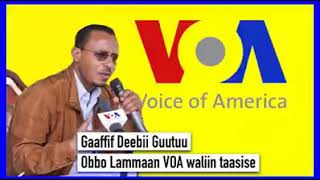 Haasaa Obbo Lammaa Magarsaa VOA waliin taasisanii turan [upl. by Edelson]