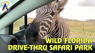 Wild Florida DriveThru Safari Park [upl. by Isbella]