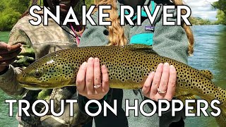 Epic Snake River Hopper Fishing [upl. by Nesrac436]