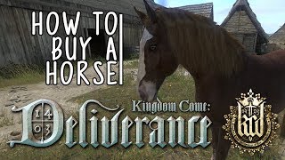 Kingdom Come Deliverance  HowWhere To Buy Your First Horse [upl. by Faxan]