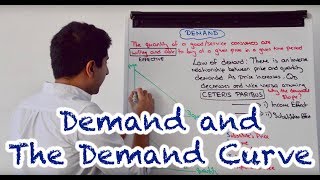 Y1 3 Demand and the Demand Curve [upl. by Nnylf]