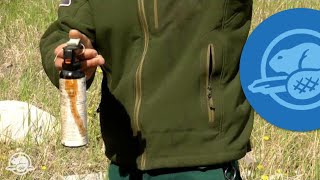 How to Use Bear Spray  Banff National Park [upl. by Bilak]