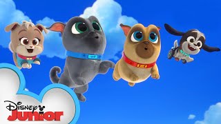 Cupcakes Birthday  Puppy Dog Pals  disneyjr [upl. by Nedyrb309]