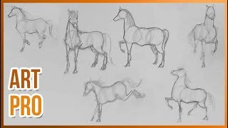 How to draw HORSES step by step 🐎 METHOD [upl. by Thorvald]