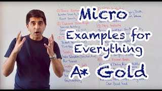 Micro Examples for Literally Everything Pure A Gold [upl. by Assirroc]