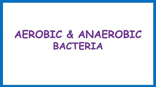 Aerobic amp Anaerobic Bacteria Lecture [upl. by Lorin]