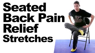 Seated Back Pain Relief Stretches [upl. by Rhona]