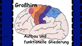 Großhirn  Neuroanatomie verstehen [upl. by Synn]