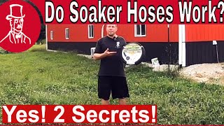 How to Use a Soaker Hose [upl. by Felicidad]