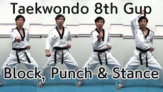 🥋 Taekwondo 8th Gup Kibon Basic Blocks and Punches  TaekwonWoo [upl. by Ladonna]