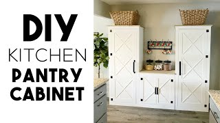 DIY Kitchen Pantry Cabinet [upl. by Dachi]