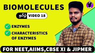 Enzymes amp their characteristics  Biomolecules in Tamil 18 [upl. by Katlaps]