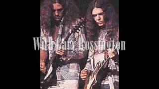 The Greatest Lynyrd Skynyrdsolo Part 1 [upl. by Atsylac]