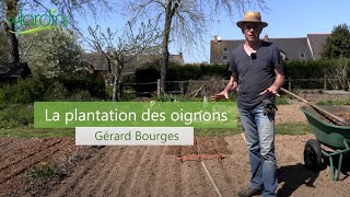 Comment PLANTER les OIGNONS [upl. by Aicirtap]