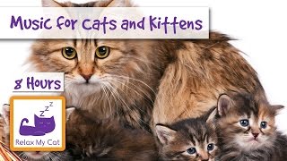 8 HOURS of Relaxing Music for Cats and Kittens [upl. by Viv]