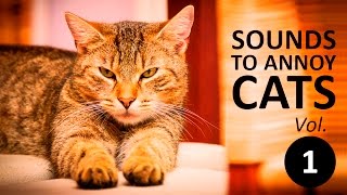 10 SOUNDS TO ANNOY CATS  Make your Cat Go Crazy HD Vol 1 [upl. by Saunderson694]