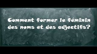 Le féminin des noms et des adjectifs [upl. by Atiluj]