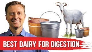 Best Dairy To Avoid Digestive Stress Lactose Intolerance – DrBerg [upl. by Ripp]