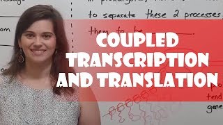 Coupled Transcription and Translation [upl. by Entwistle]