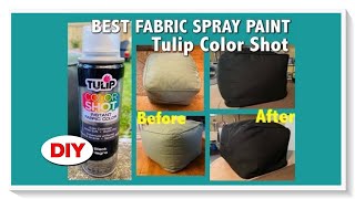 How to Use Tulip Instant Fabric Spray Paint  Product Review [upl. by Willow]